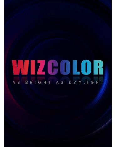 Технология WizColor